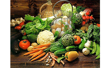 農(nóng)產(chǎn)品追溯系統(tǒng)的管理功能有哪些？